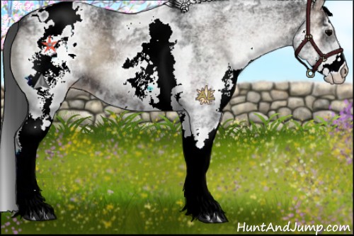 Horse Color:White Spotted Blue Onyx Blanket