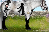 Horse Color:White Spotted Blue Onyx Blanket 