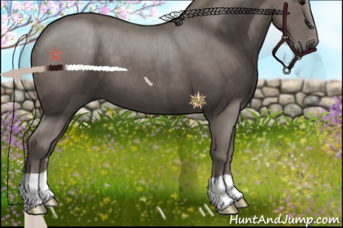 Horse Color:Silver Black