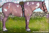 Horse Color:Watercolor White Spotted Silver Black Rabicano 