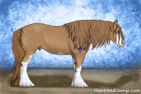 Horse Color:Chestnut Sabino