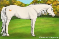 Horse Color:Cremello