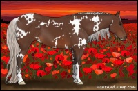 Horse Color:White Spotted Silver Brown Sabino 