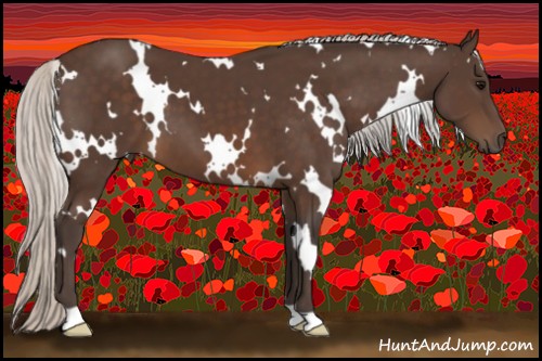 Horse Color:White Spotted Silver Brown 