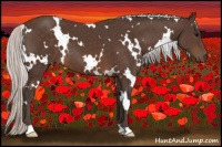 Horse Color:White Spotted Silver Brown