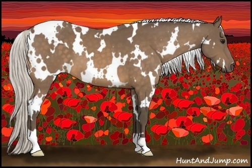 Horse Color:White Spotted Silver Buckskin 