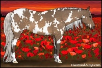 Horse Color:White Spotted Silver Buckskin 