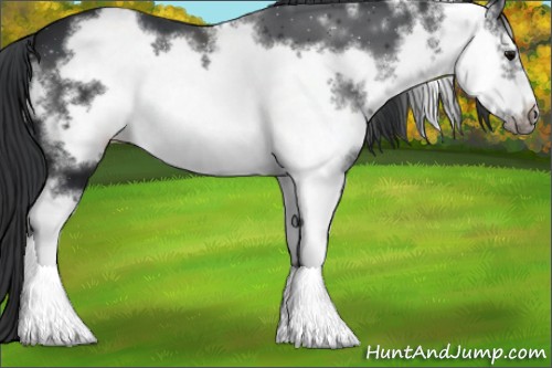 Horse Color:White Spotted Black Frame 