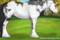 Horse Color:White Spotted Black Frame 