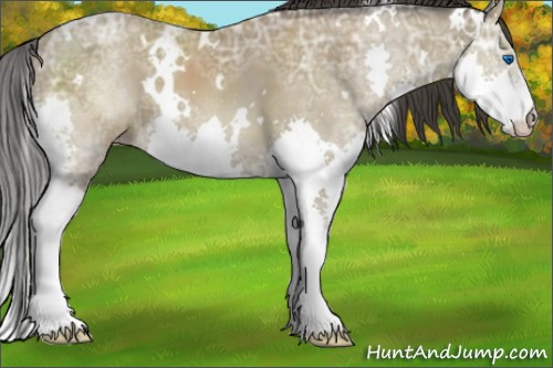 Horse Color:White Spotted Classic Champagne Ice Sabino Splash 