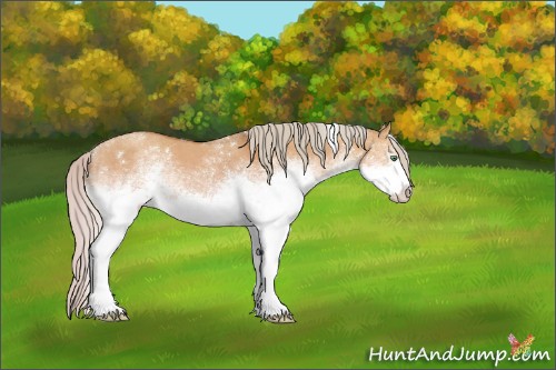 Horse Color:White Spotted Silver Classic Cream Champagne Dun