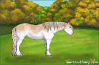 Horse Color:White Spotted Silver Classic Cream Champagne Dun 