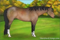 Horse Color:Brown 