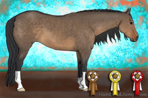 Horse Color:Brown Dun 