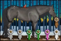 Horse Color:Grullo 