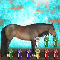 Horse Color:Brown 
