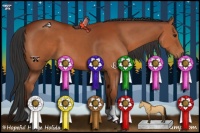 Horse Color:Brown 