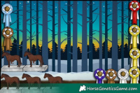 Horse Color:Chocolate Brown Dun