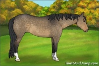 Horse Color:Brown Dun Brindle 