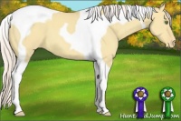 Horse Color:Silver Classic Champagne Dun Tobiano Appaloosa 