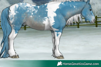 Horse Color:Watercolor Brown Tobiano 