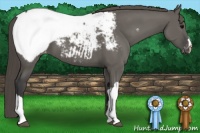 Horse Color:Grullo Near Fewspot 