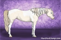 Horse Color:Perlino Dun Tobiano 