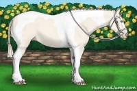 Horse Color:Perlino Dun Tobiano 
