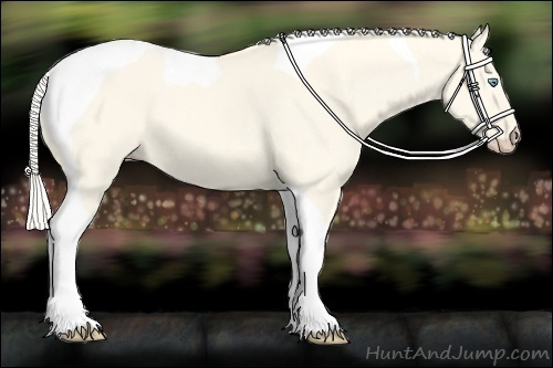 Horse Color:Cremello Dun Tobiano 