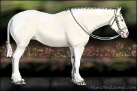 Horse Color:Cremello Dun Tobiano