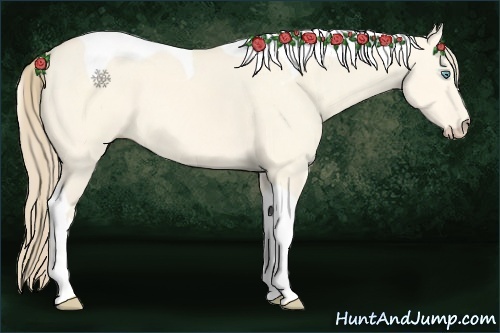Horse Color:Perlino Dun Tobiano 