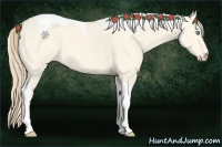Horse Color:Perlino Dun Tobiano