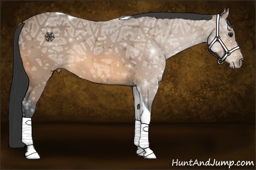 Horse Color:Buckskin Ice Tobiano 