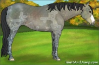 Horse Color:Brown Ice 
