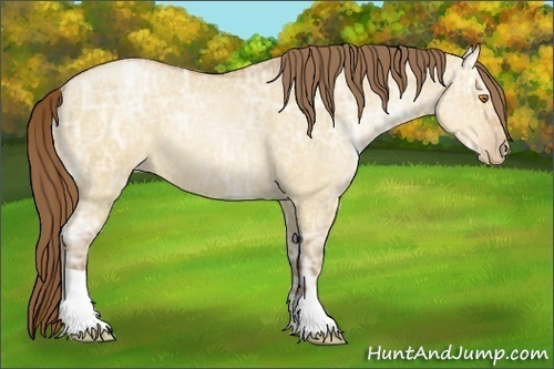 Horse Color:Brown Ice Pearl Dun 