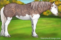 Horse Color:Chocolate Silver Blue Chinchilla Roan Sabino Splash