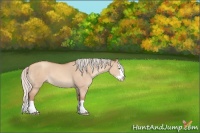 Horse Color:Silver Sable Champagne Dun Splash 