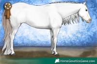 Horse Color:White Spotted Bay Appaloosa 