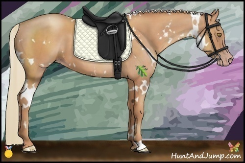 Horse Color:White Spotted Gold Champagne 
