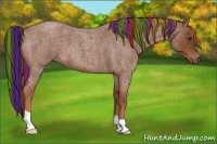 Horse Color:Painted Red Roan
