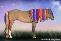 Horse Color:Painted Silver Buckskin 