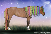 Horse Color:Gray Painted Silver Buckskin Roan Rabicano 