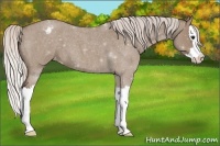 Horse Color:Chocolate Silver Grullo Roan Splash Varnish 