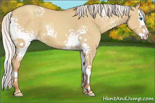 Horse Color:White Spotted Silver Classic Champagne Dun Splash 