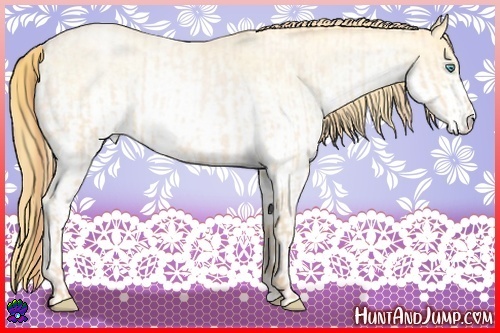 Horse Color:Buckskin Roan Pearl  and White Spotted Buckskin Roan Pearl 