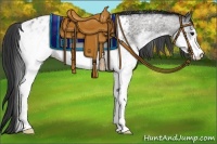 Horse Color:White Spotted Blue Roan Appaloosa
