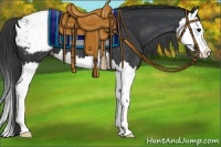 Horse Color:Black Splash Appaloosa 