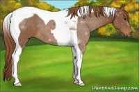 Horse Color:Chestnut Tobiano 