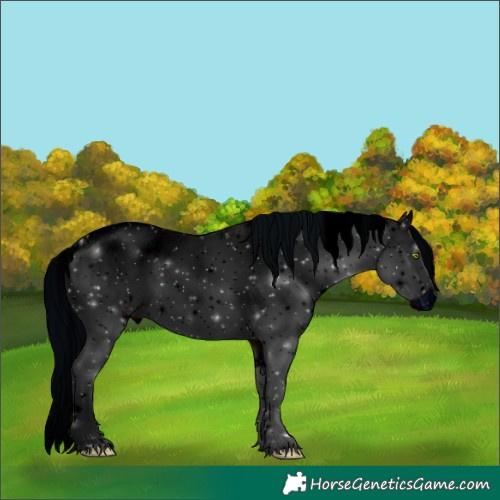 Horse Color:ERROR: UNKNOWN ANOMALY