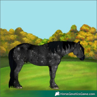 Horse Color:ERROR: UNKNOWN ANOMALY